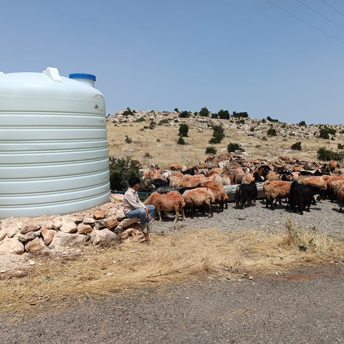 Uzundere Köyü’ne Hayvanlar İçin 20 Tonluk Temiz Su Desteği