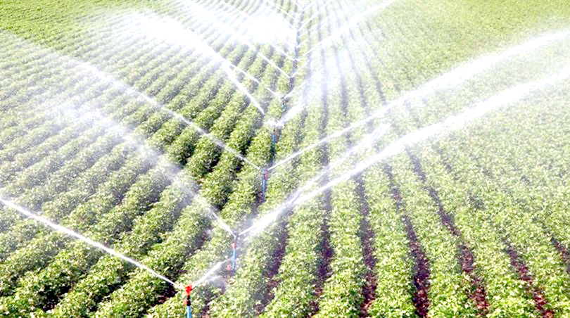 Hibe Almaya Hak Kazananlar Belli Oldu