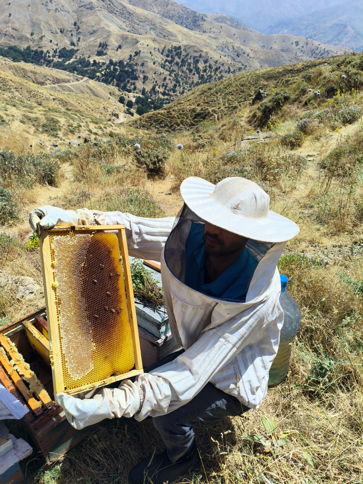 Ebinç: “Verim Düşüktü Ama Bal Kalitesi Yüksek”