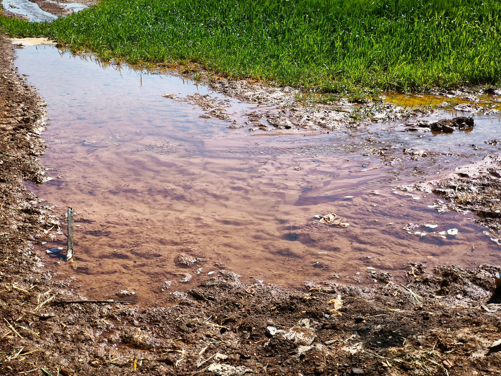 Mısır Yüzünden Su Krizi Derinleşiyor