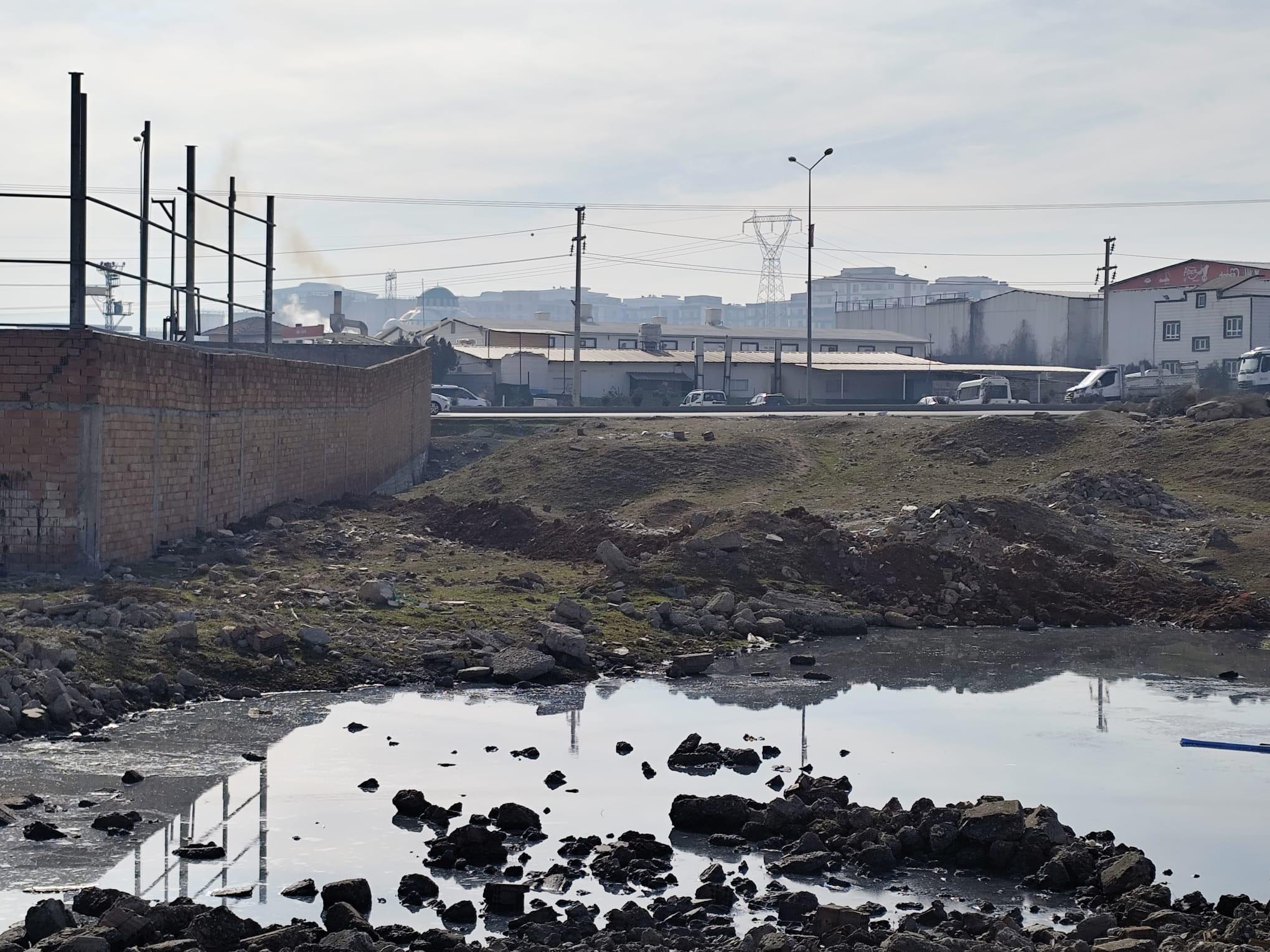 Batman Belediyesi’nden Haşereyle Mücadelede Kalıcı Çözüm
