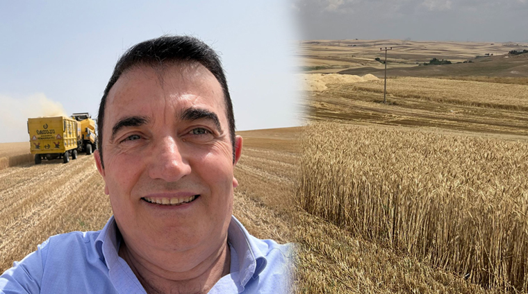 TARLADA UMUT AZALDI: ÇİFTÇİLERİ ZOR GÜNLER BEKLİYOR