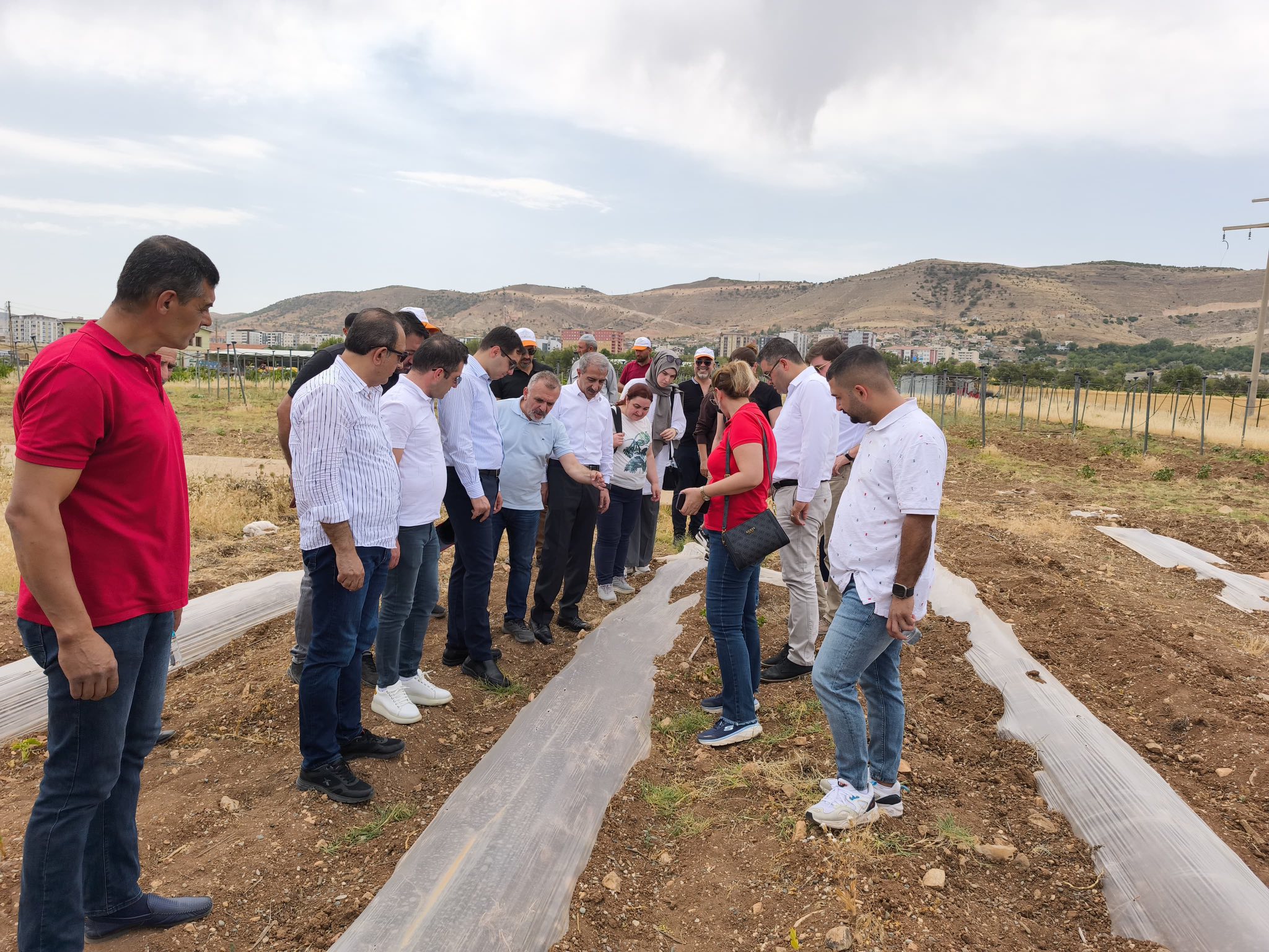 Gercüş’te “Gökyüzünden Sofraya Su Hasadı” projesi hayata geçirildi