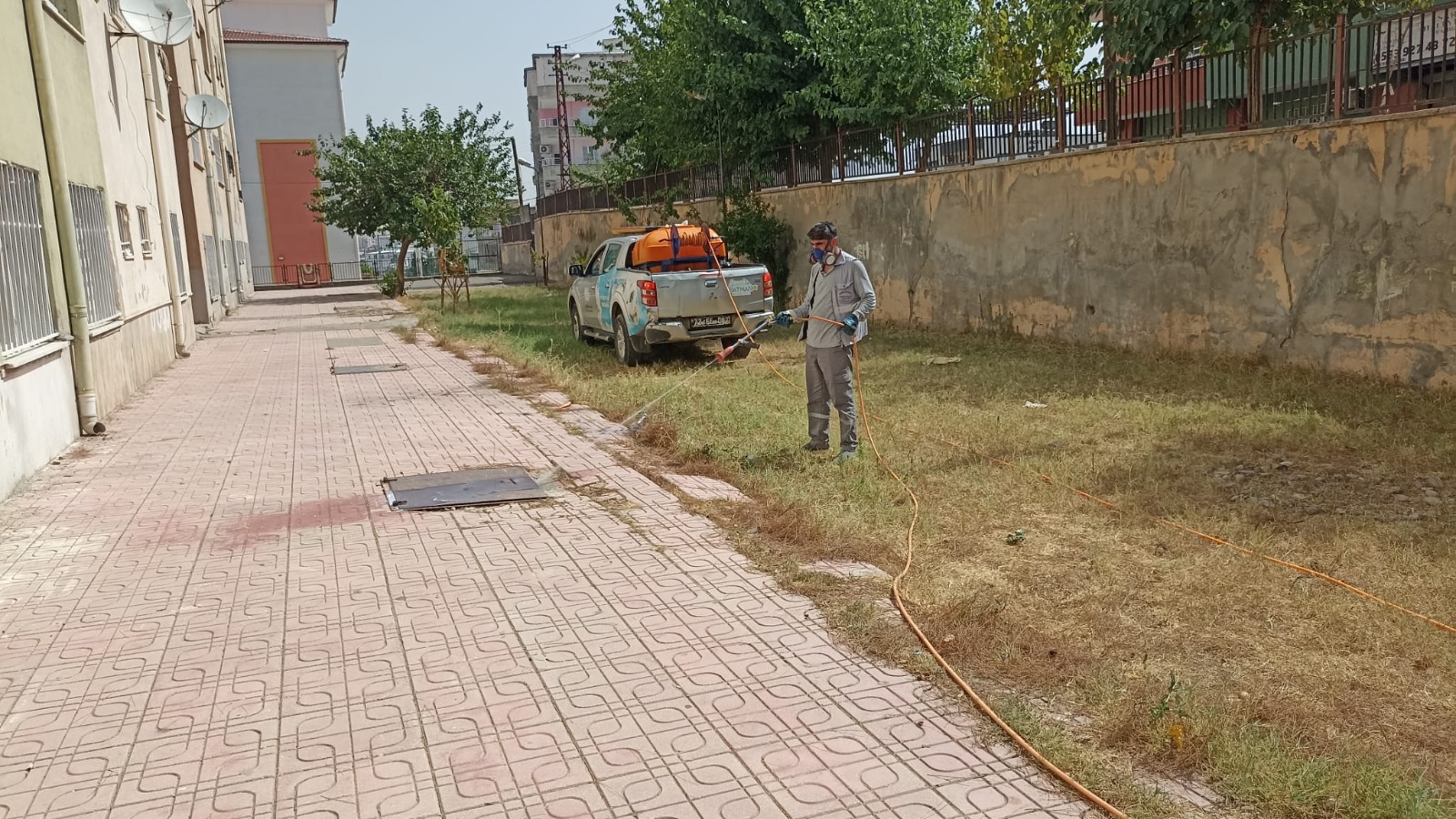 Haşereyle Kesintisiz Mücadele