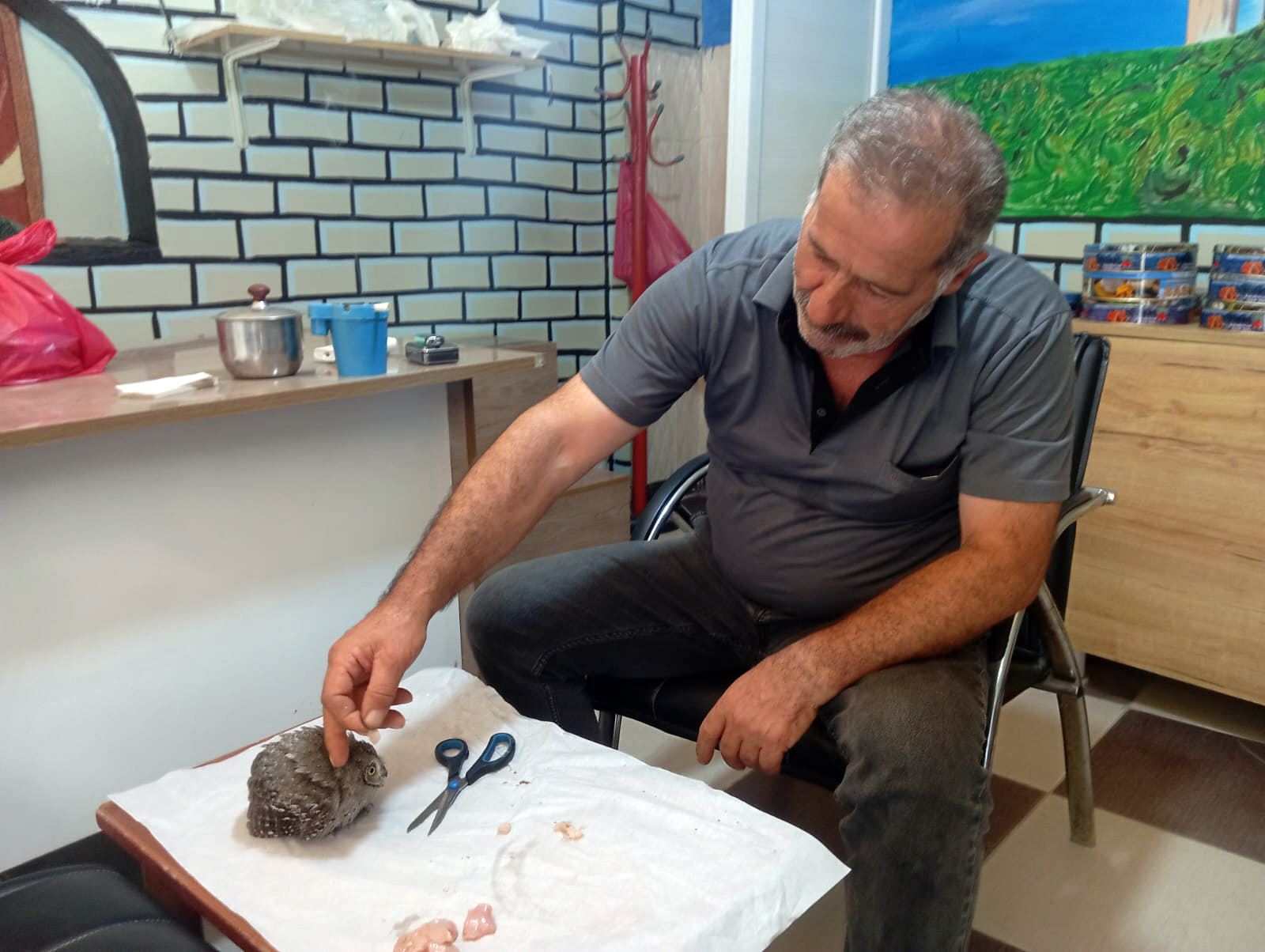 Yavru Baykuşu kendi elleriyle besliyor