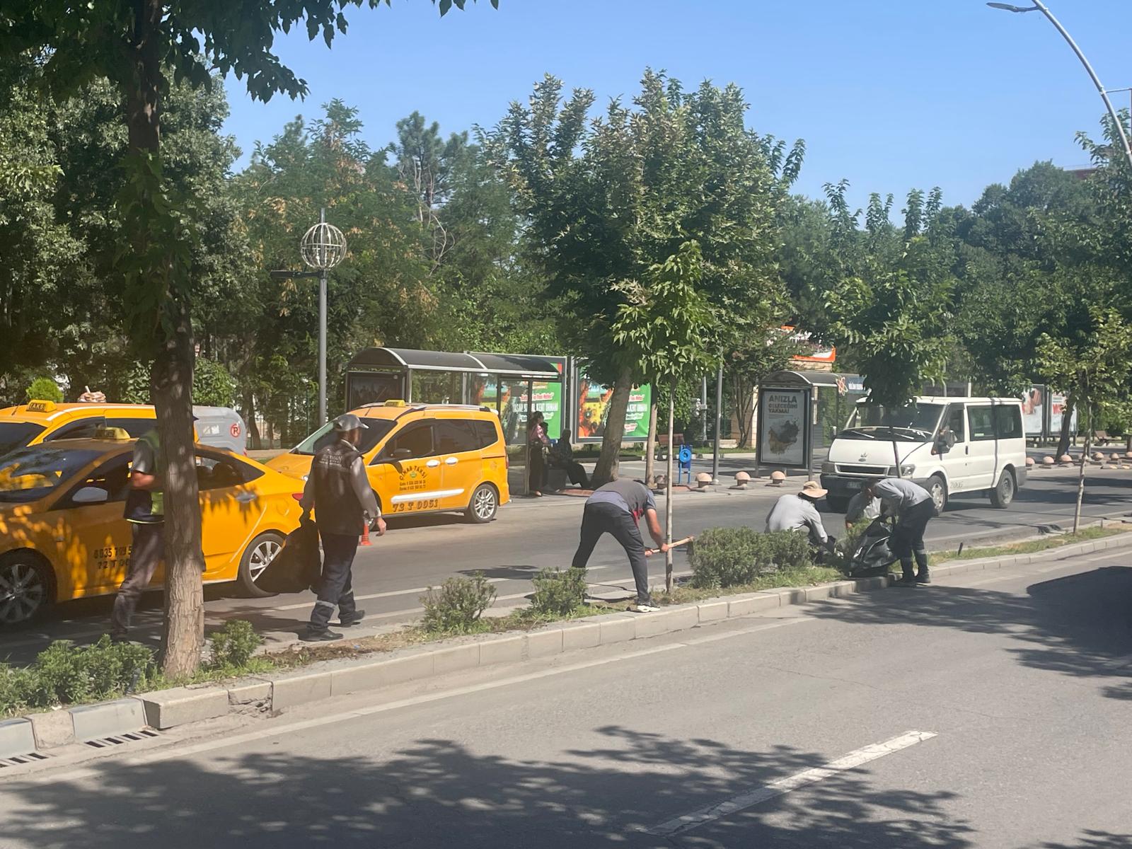 Batman Belediyesi Ana Arterlerde Kuru Ot Temizliği Yaptı