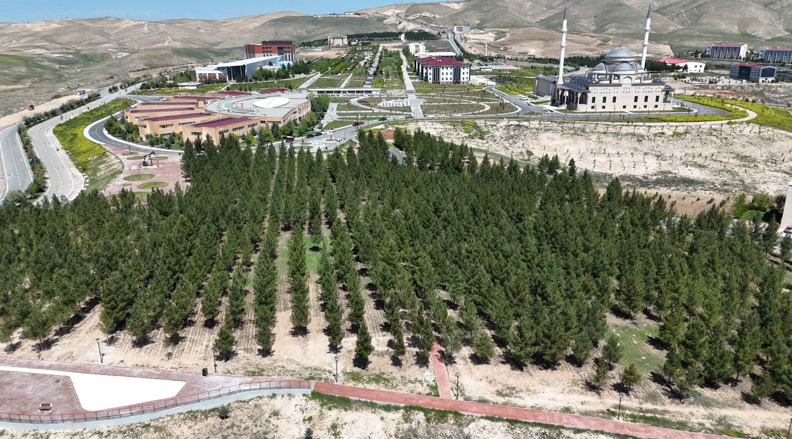 Necat Nasıroğlu Hatıra Ormanı Açılıyor