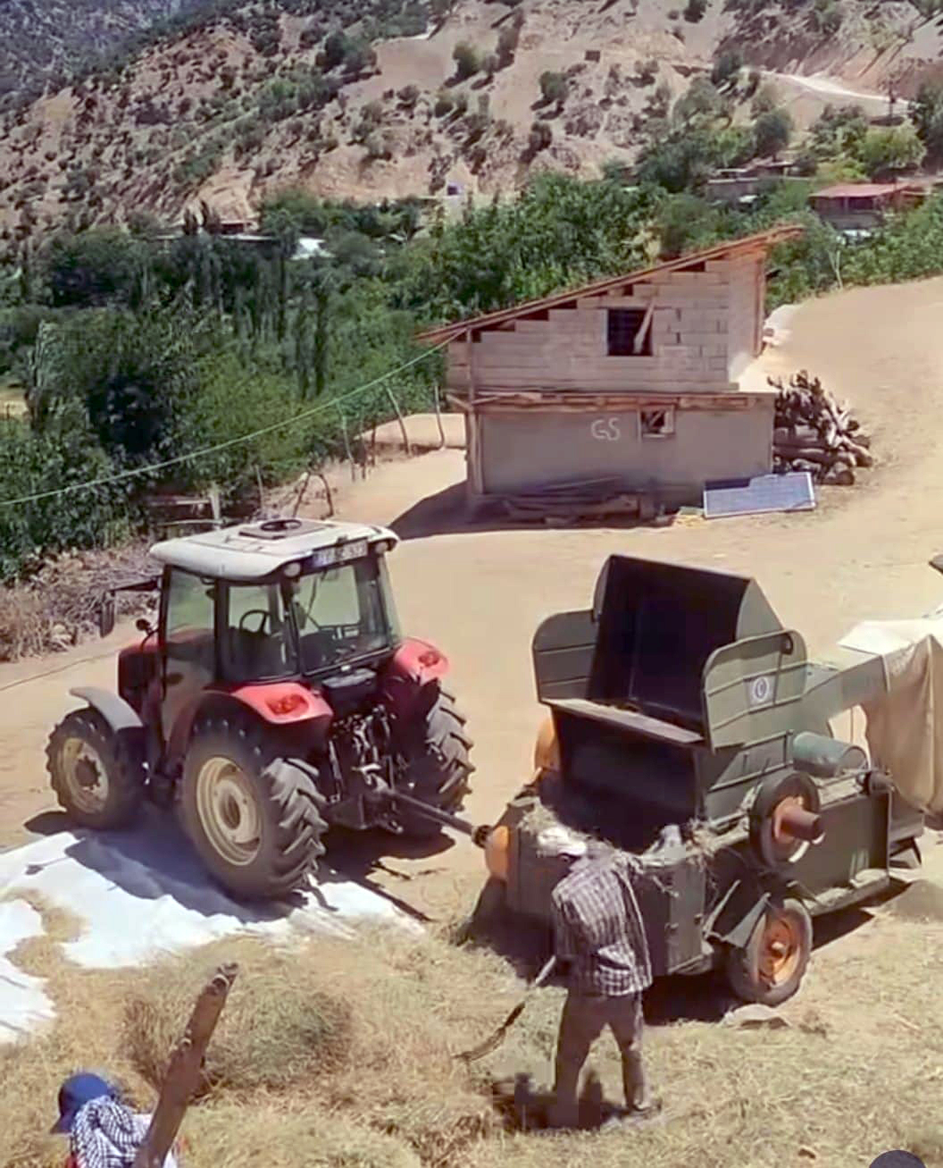 Sason’da Sıcakta Patoz Mesaisi