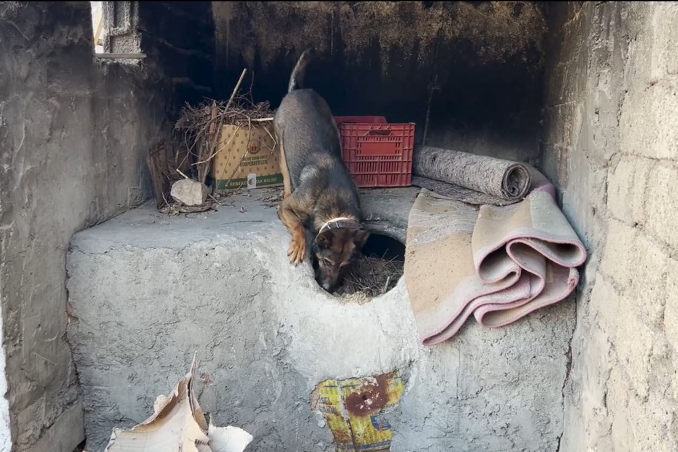 Tandırda Uyuşturucu Operasyonu: 3 Kilo Skunk Ele Geçirildi