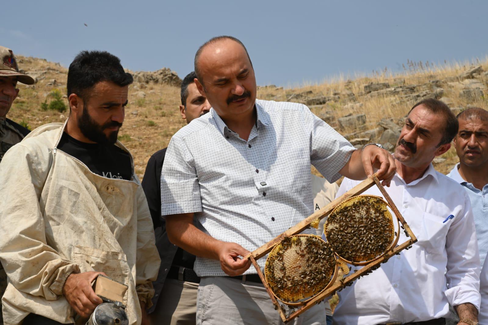 Vali Canalp, Sason’da İlk Bal Sağımına Katıldı