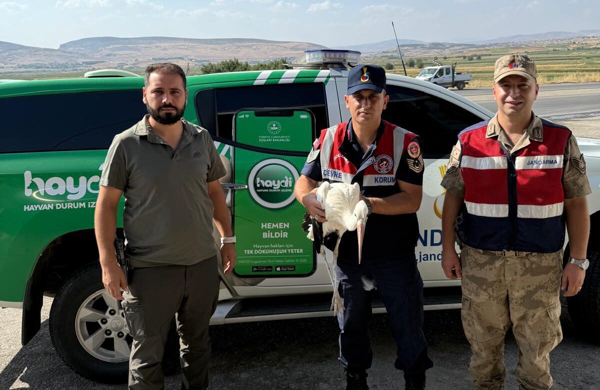 Yaralı Leylek Koruma Altına Alındı