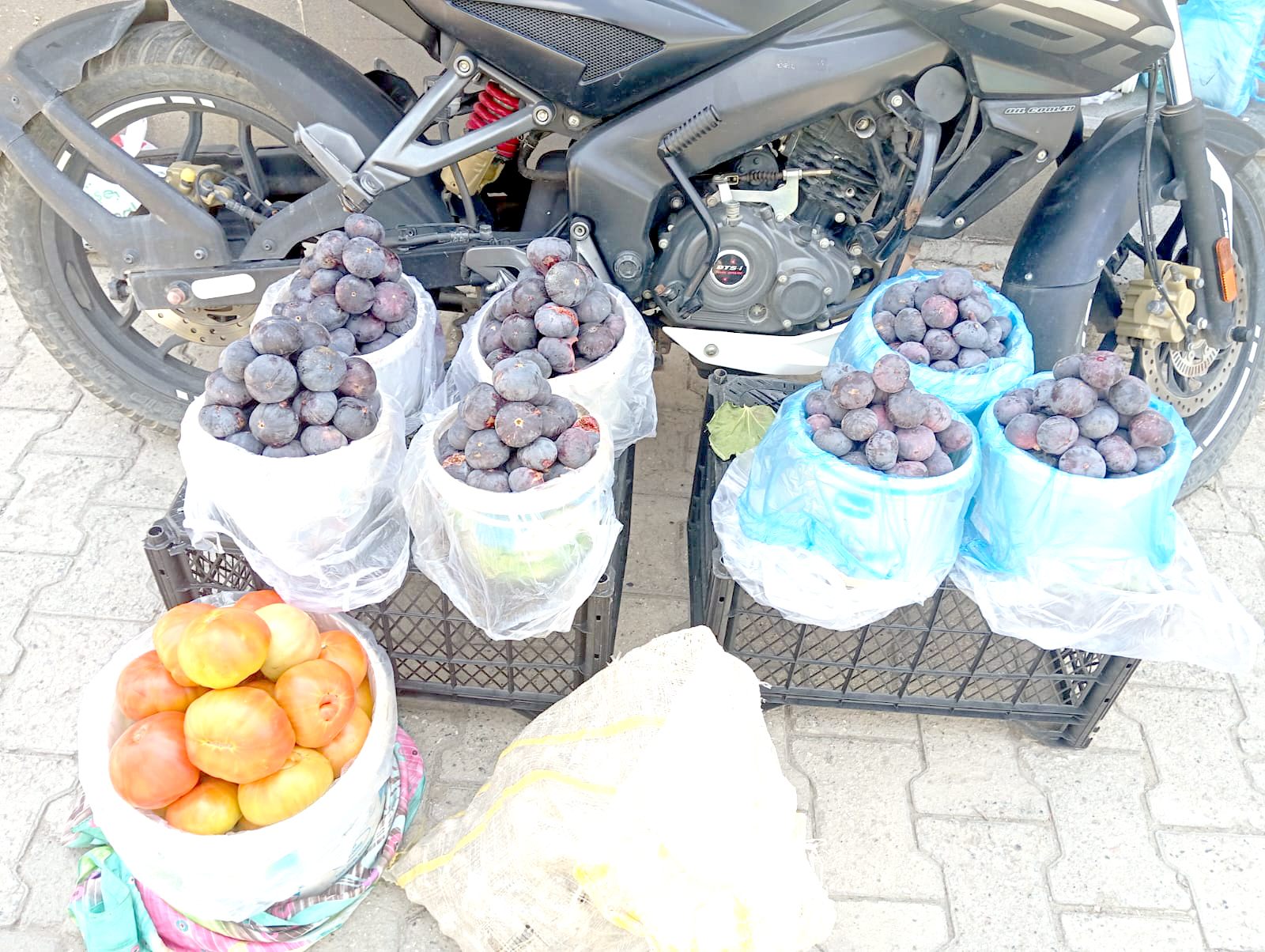 Okul Harçlıklarını İncirden Çıkarıyorlar