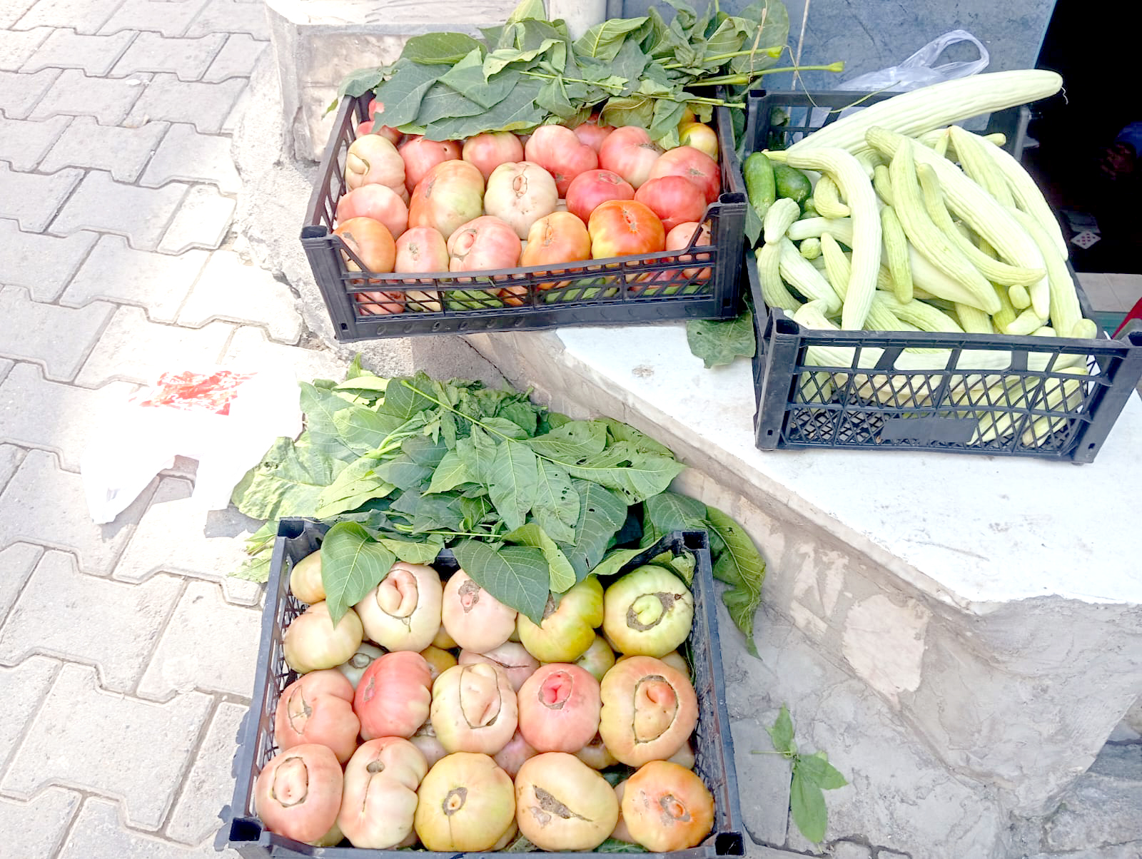 Organik Sebzeler Çarşı Meydanında Tezgâhlarda