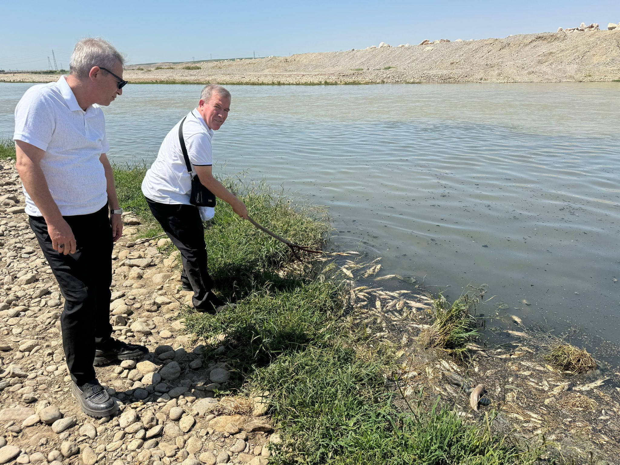 Batman Çayında Balık Katliamı!