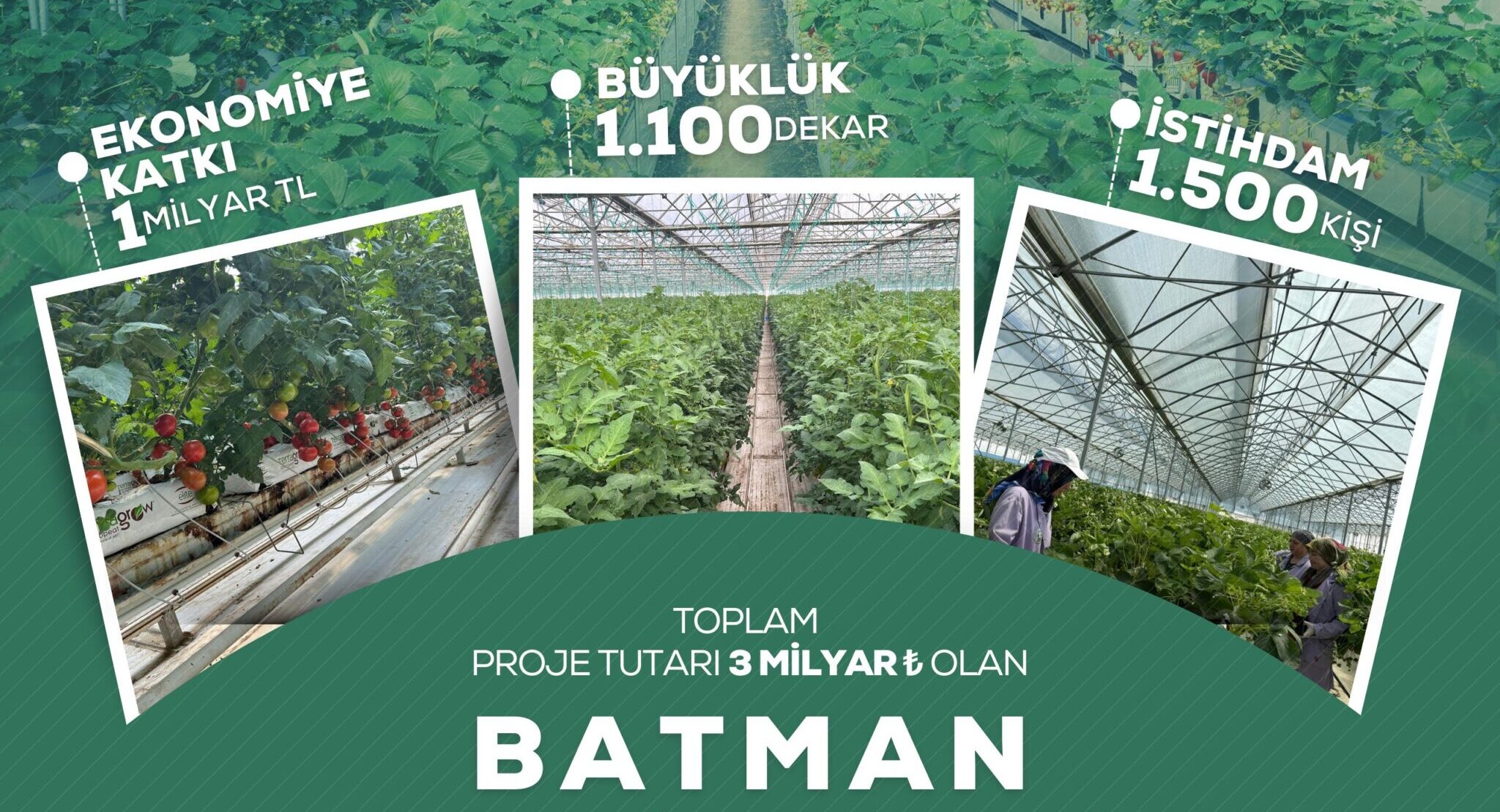 Batman’a Yeni Yatırım: Sera Organize Tarım Bölgesi Tüzel Kişilik Kazandı