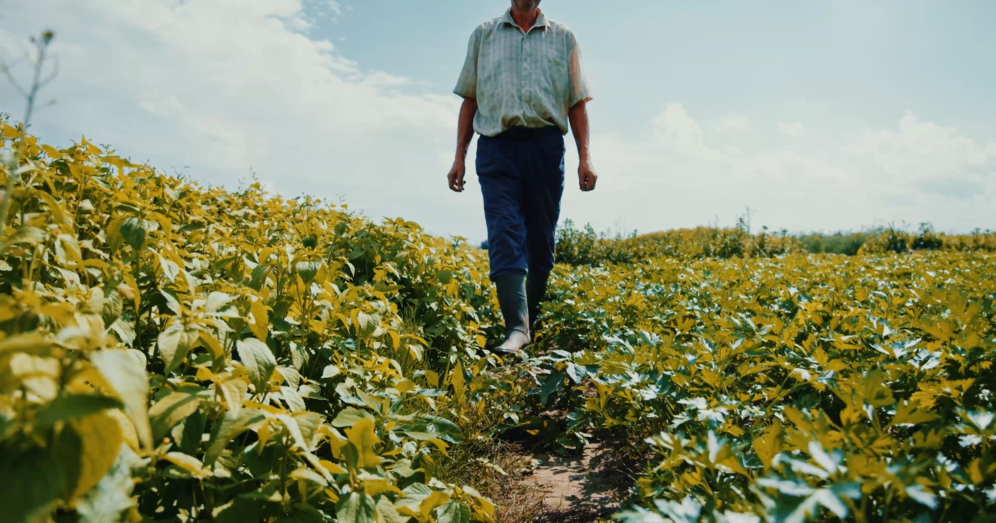 Dicle Elektrik’ten Vahşi Sulamaya dikkat çekti