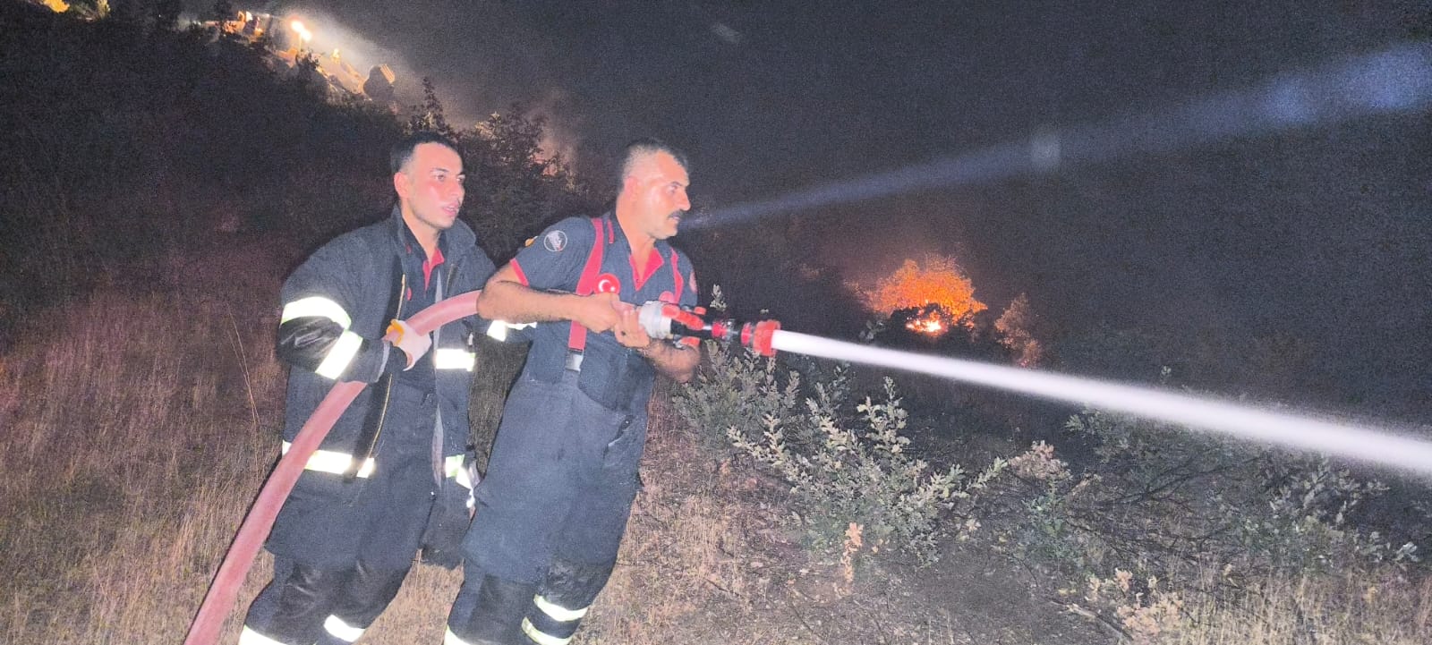 İtfaiye Lice’deki Orman Yangınına destek verdi