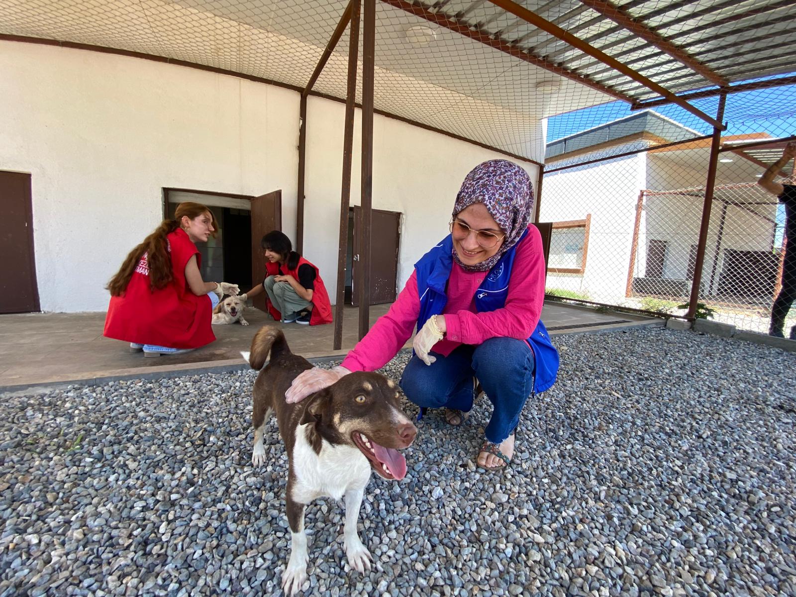 Gençlerden Sokak Hayvanlarına Anlamlı Destek
