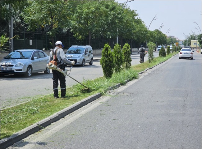 Park Ve Yeşil Alanlara Kapsamlı Bakım