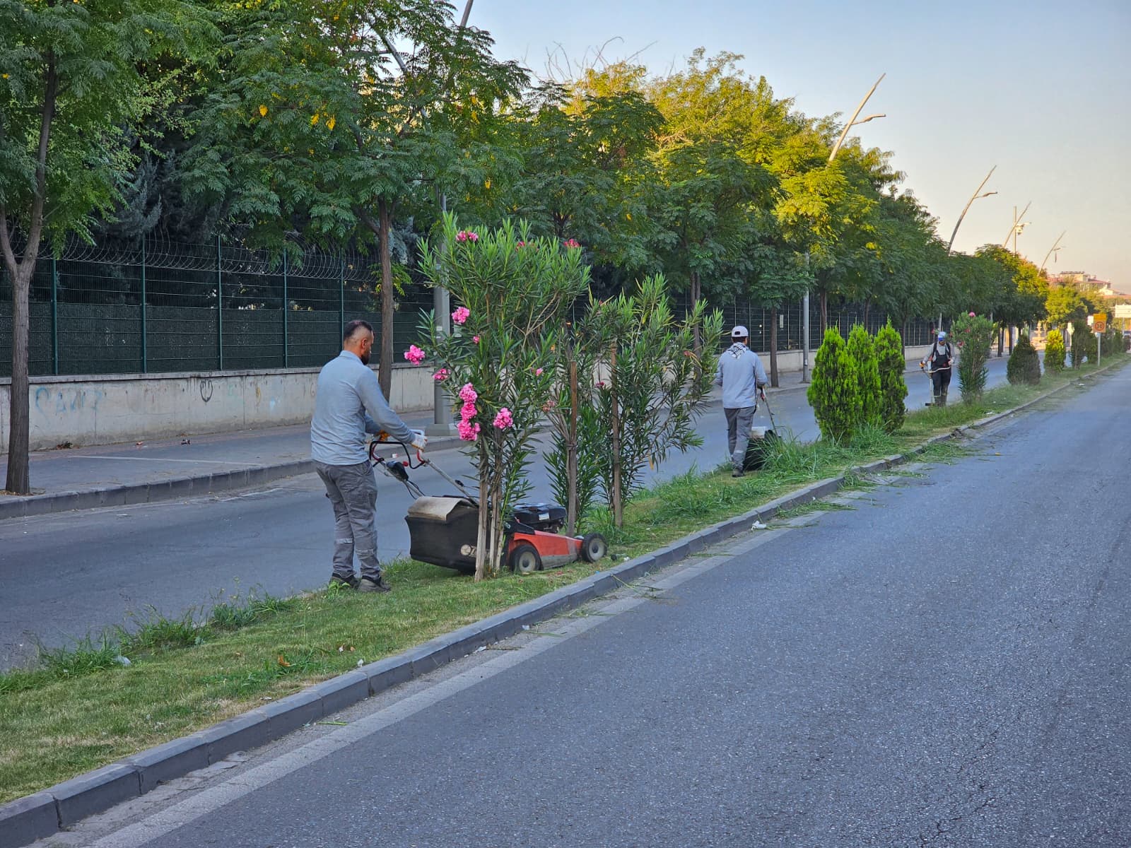 Belediye’den Kapsamlı Park Ve Bahçe Çalışması