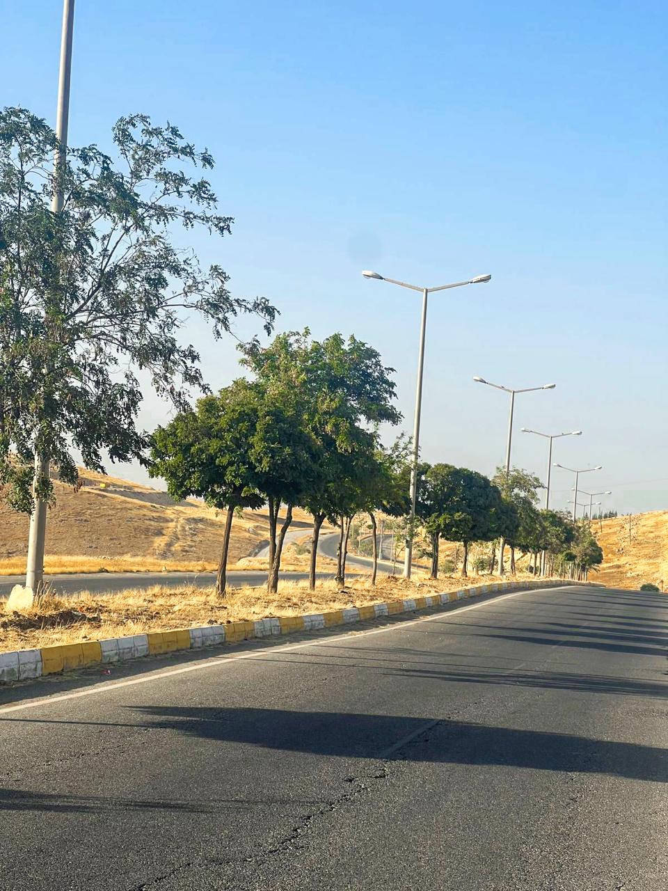 Yeşil Kuşak Ağaçlandırma Çalışmaları Devam Ediyor