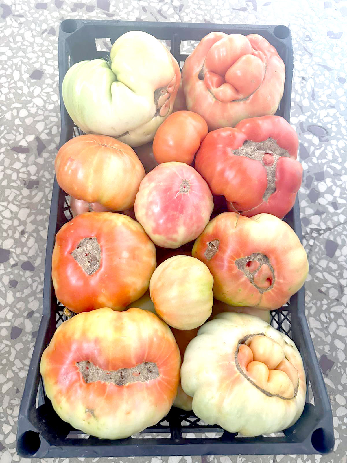 Organik Ürünlere Yoğun İlgi