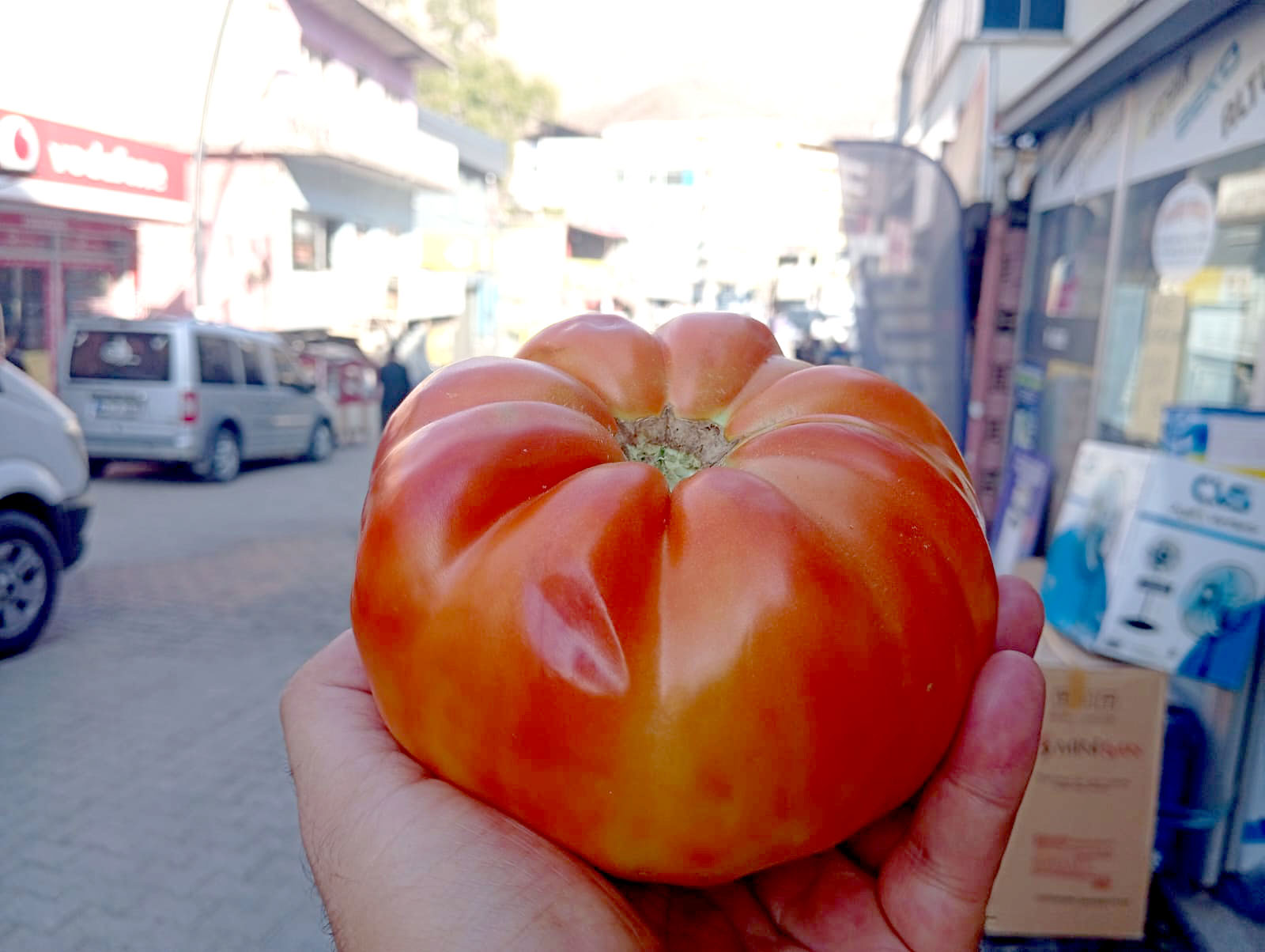 Sason Domatesi Büyüklülüğüyle Dikkat Çekiyor