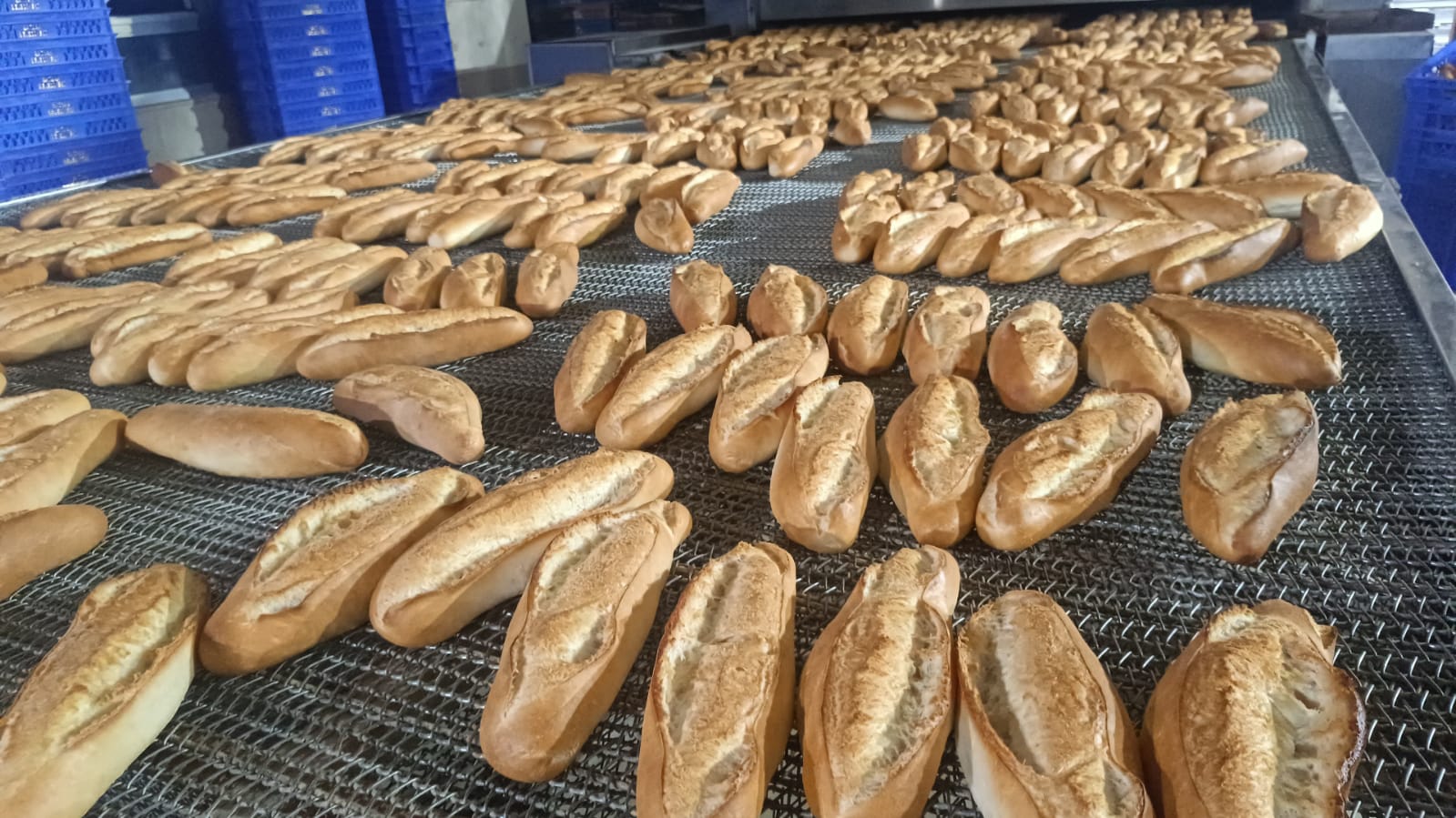 Belediye’den günlük 40 Bin 500 Ücretsiz Ekmek