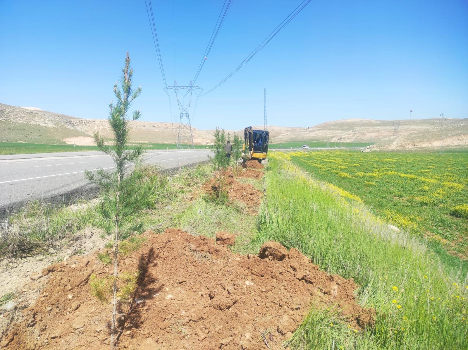 3 Yılda 639 Bin Fidan Toprakla Buluştu