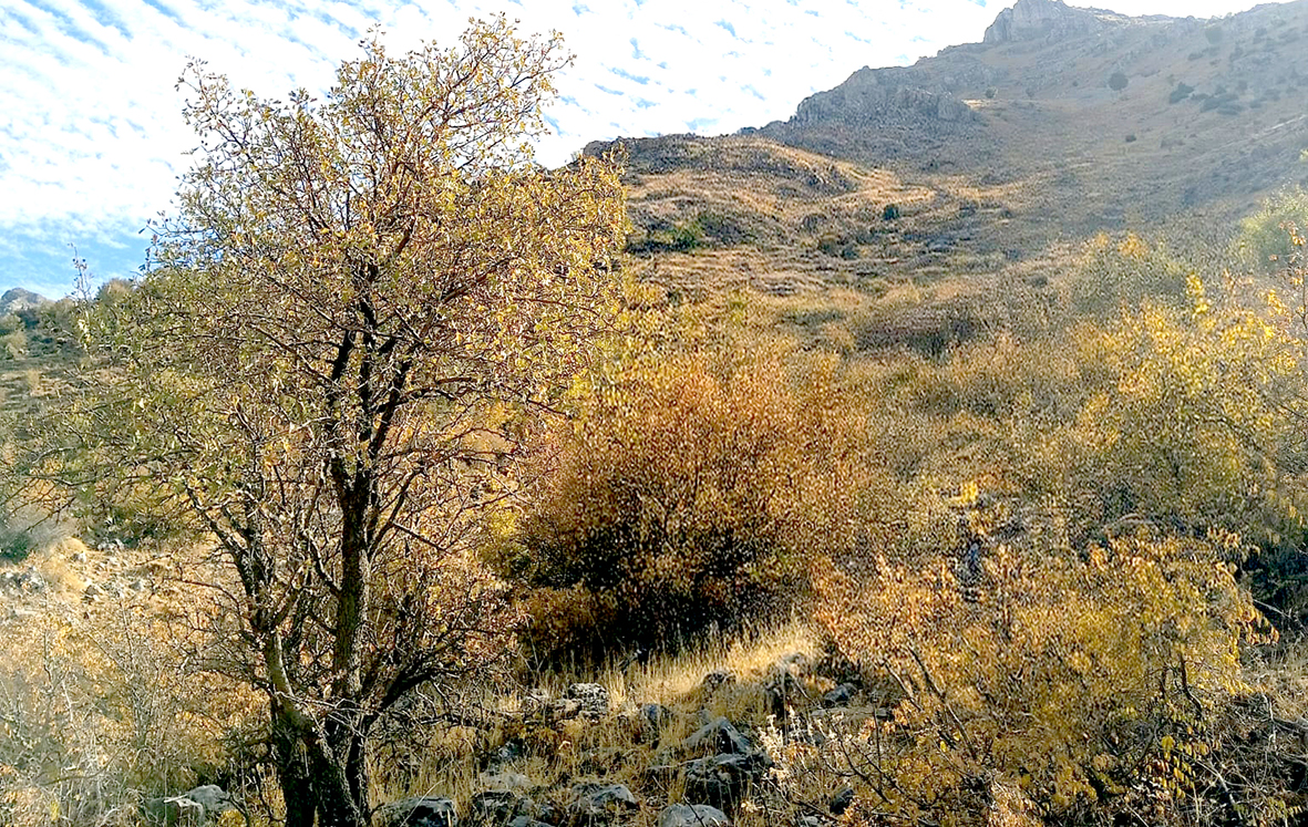 Çiftçiler Uyardı: “Yağışlar Yetersiz, Kuraklık Kapıda”