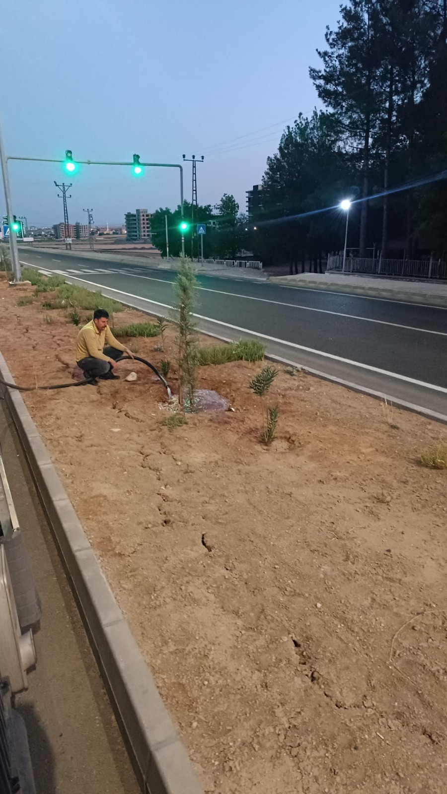 Batman’da Yeşil Kuşak Ağaçlandırma Çalışmaları Aralıksız Devam Ediyor