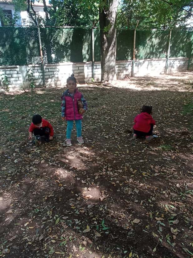 Batman’da Minik Eller Doğayı Kavanozda Keşfetti