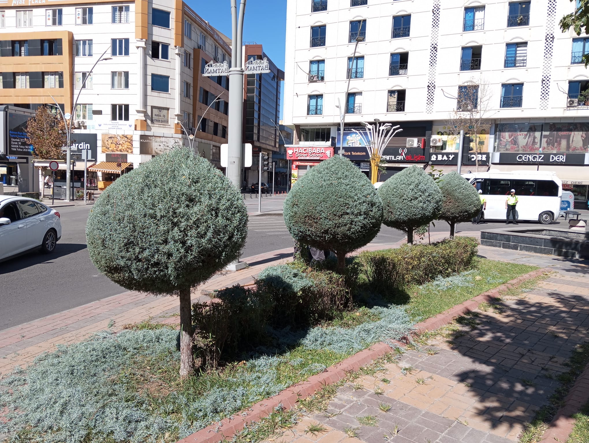 Belediye Ağaçlara Estetik Kazandırıyor