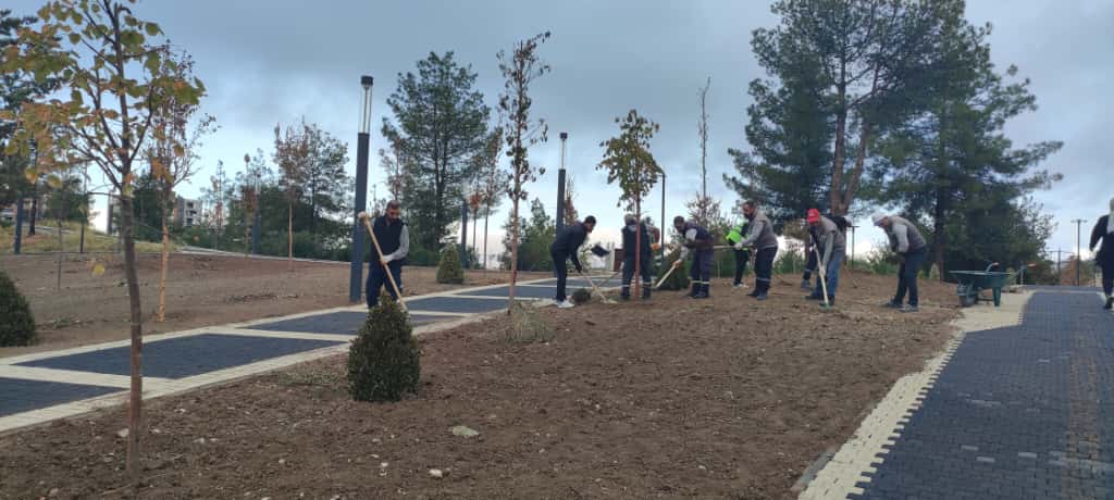 120 Bin Metrekarelik Alan Yeşile Bürünüyor