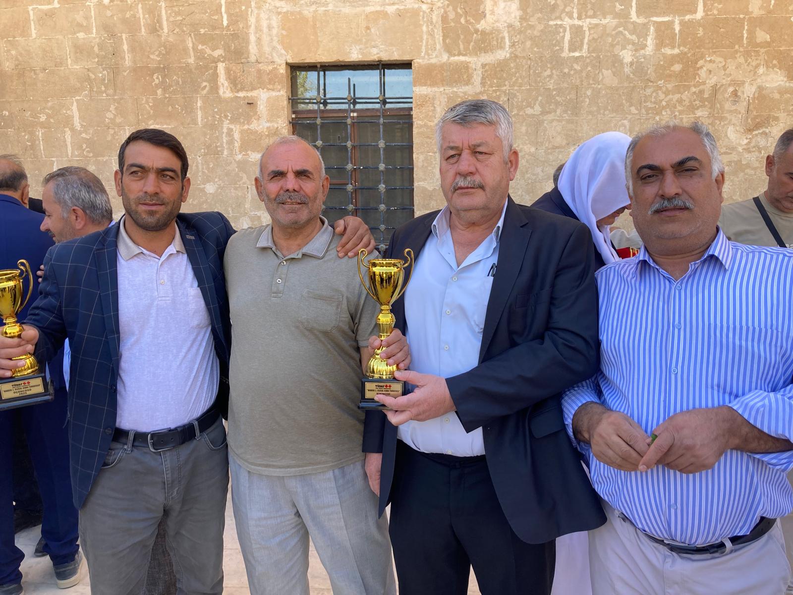 Batmanlı Dama ekibi Mardin’de kupa aldı