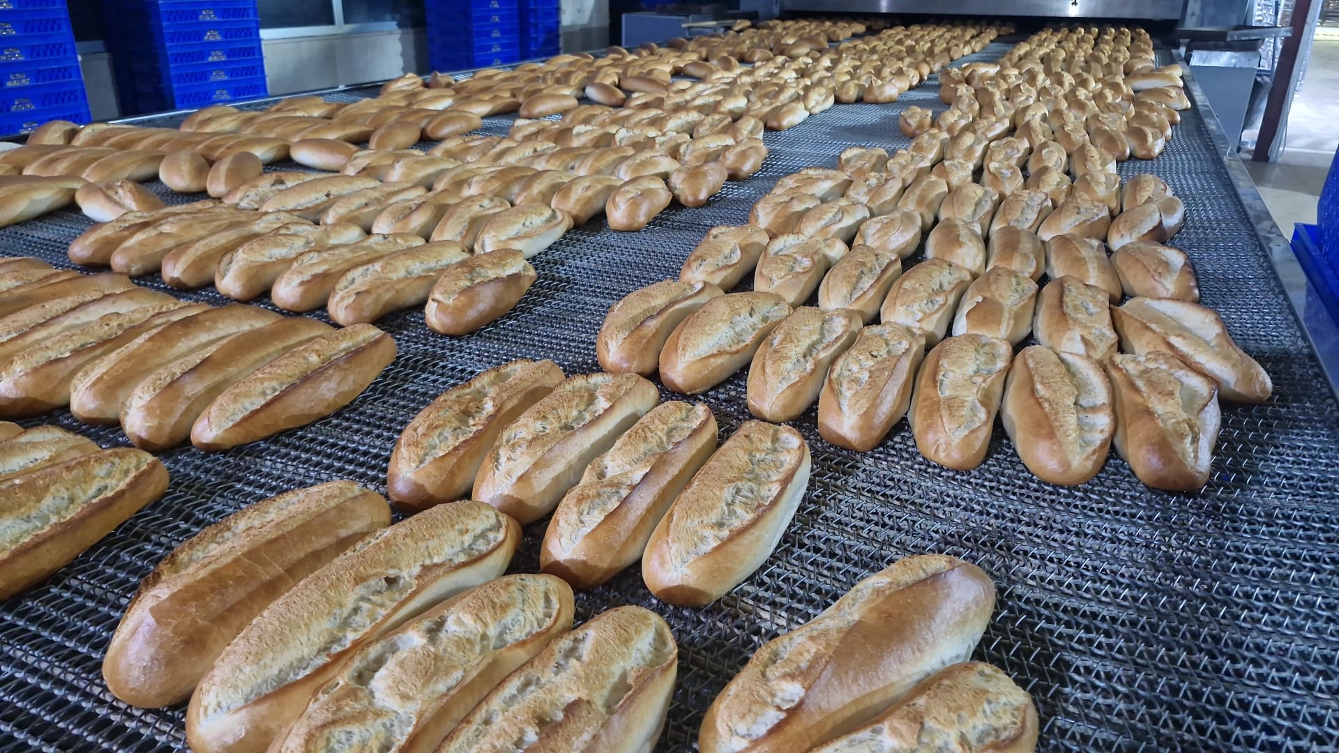 Batman Belediyesi’nden 30 Milyon Üzerinde Ücretsiz Ekmek