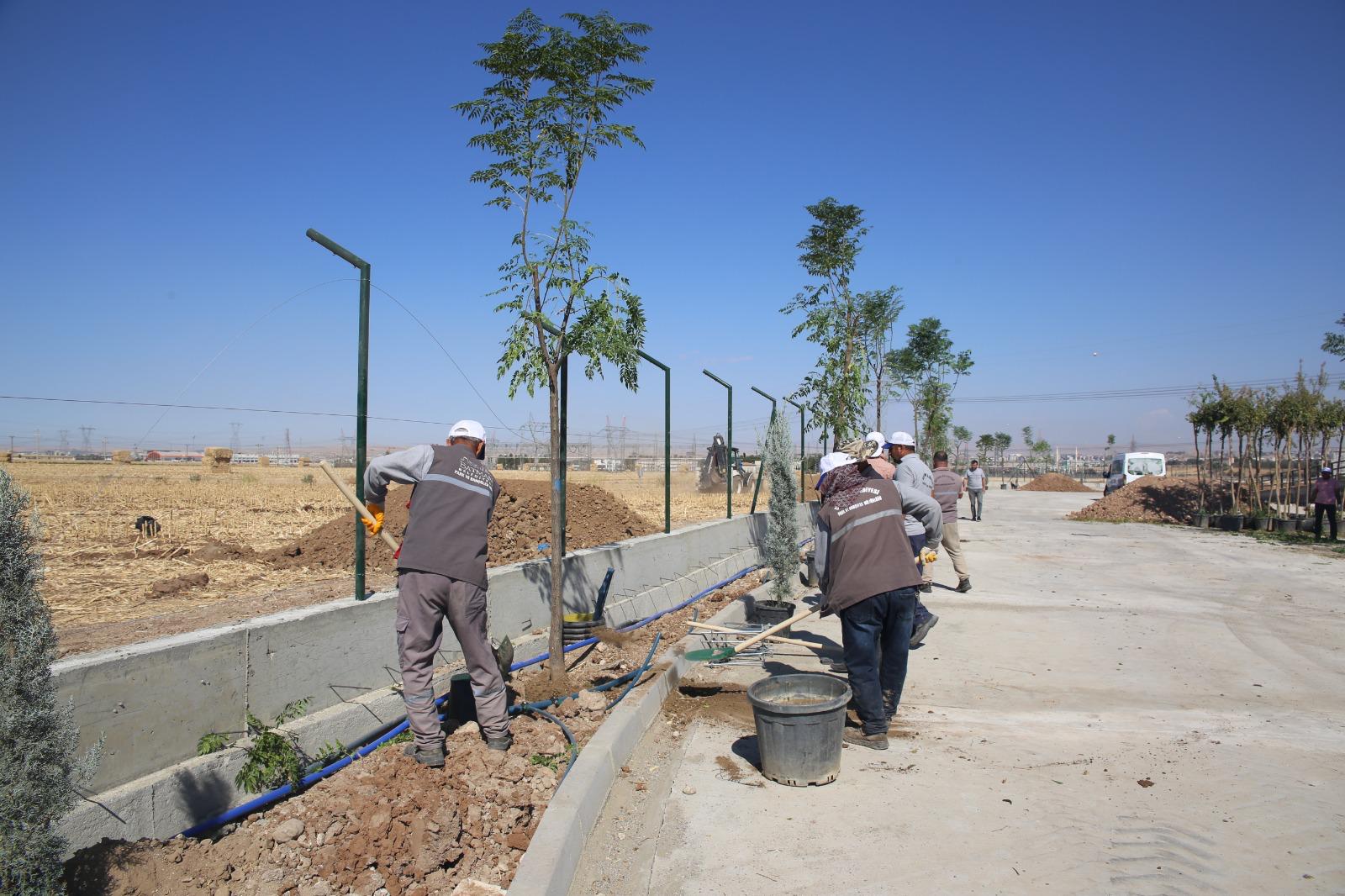 Belediyede Fidan Dikim Mevsimi Başladı