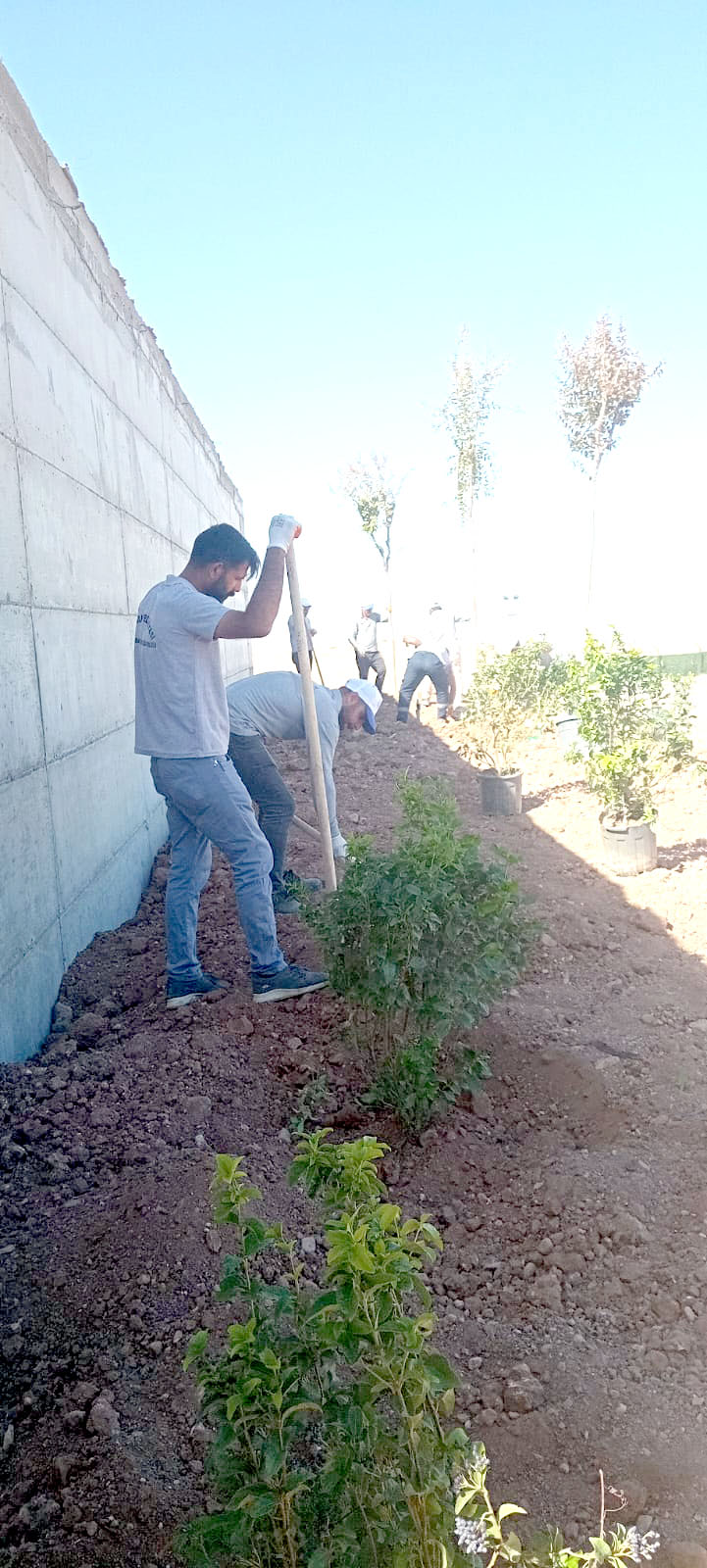 4 Ekim Dünya Hayvanları Koruma Gününe Özel Fidan Dikimi Gerçekleştirildi