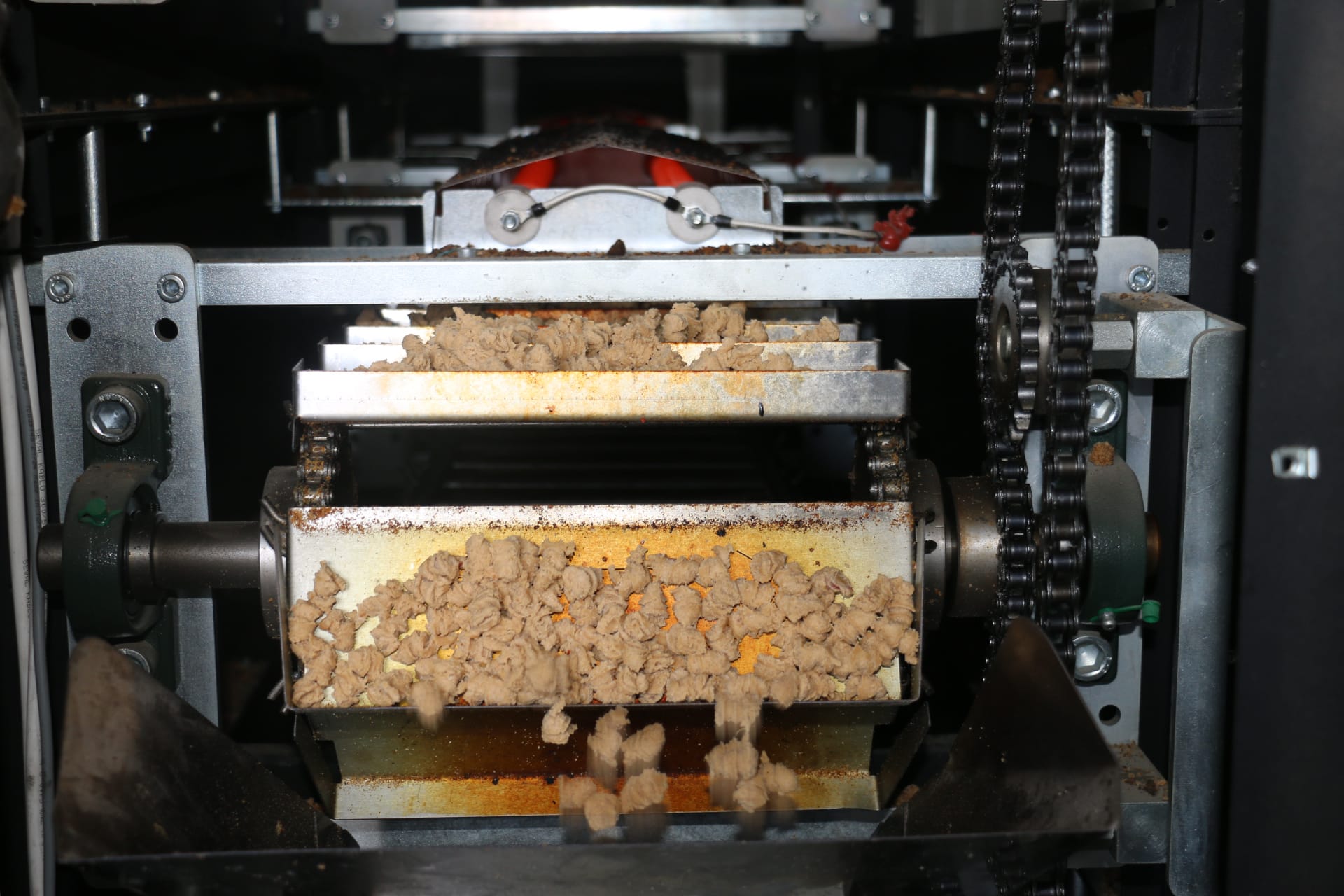 2 Bin 512 Sahipsiz Hayvan Koruma Altında