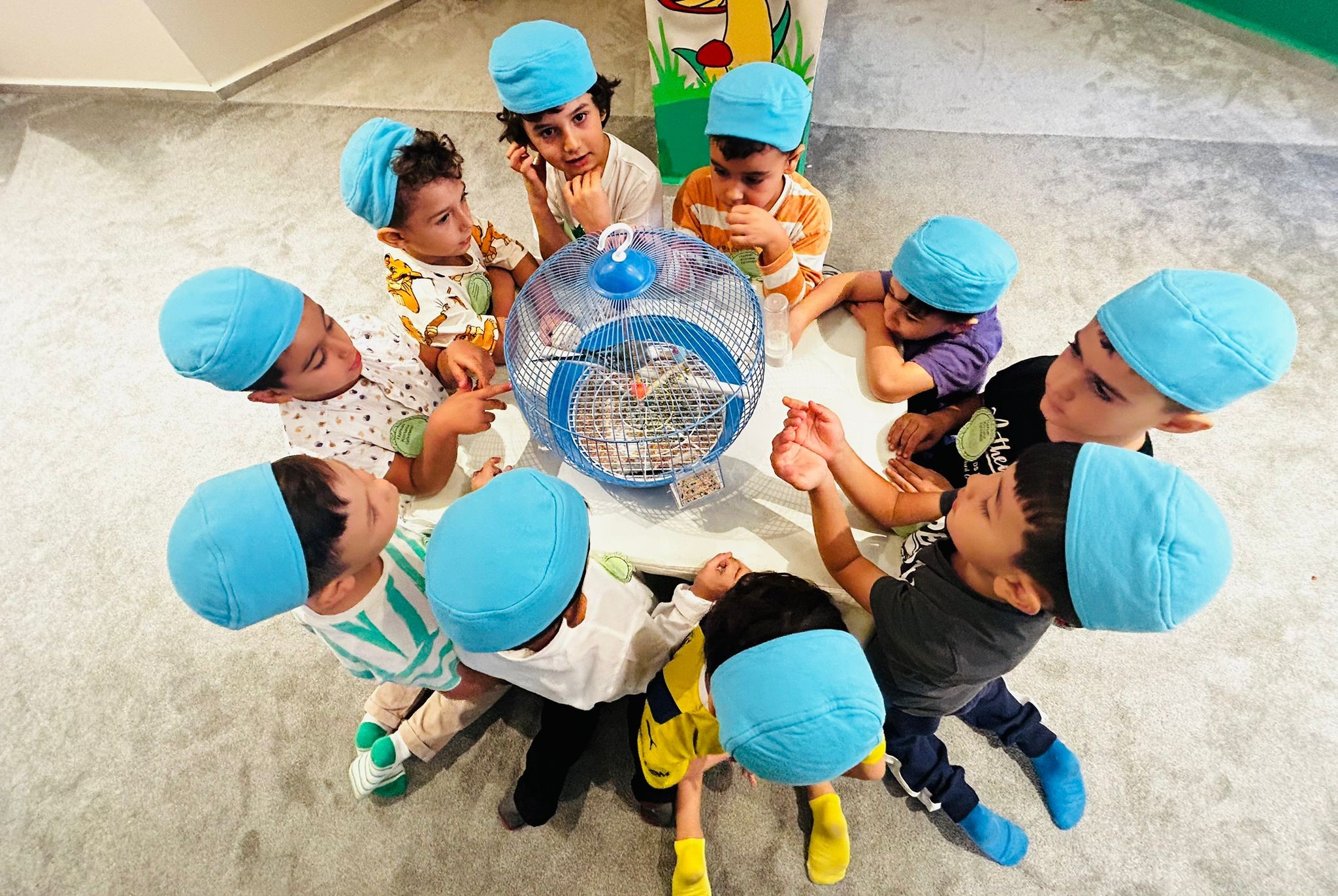 Miniklerden Hayvanları Koruma Haftası Etkinliği