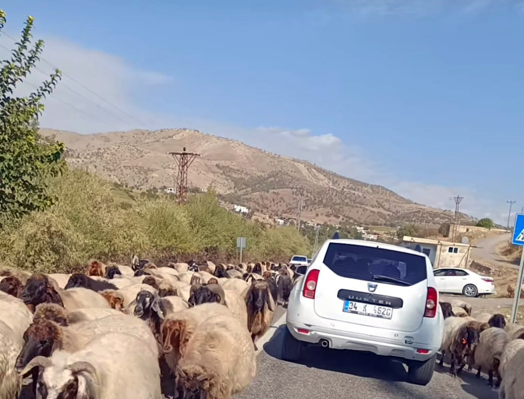Zorlu Dönüş Başladı
