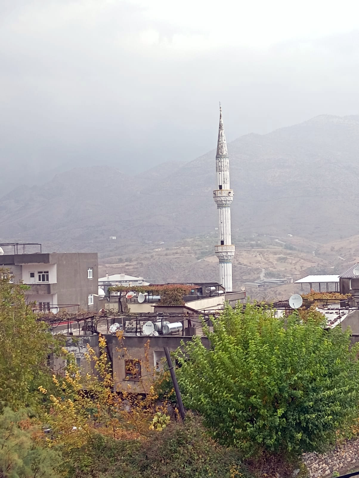 Çiftçiler ‘Yağışlar sürmesi gerekiyor’