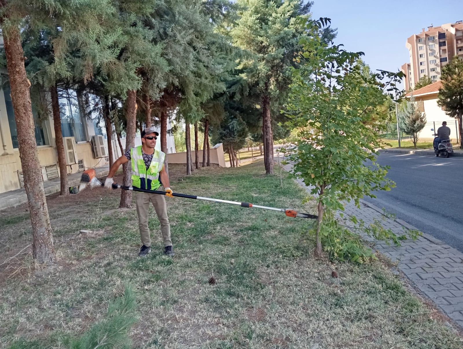Belediye sonbahar budama çalışmalarına başladı