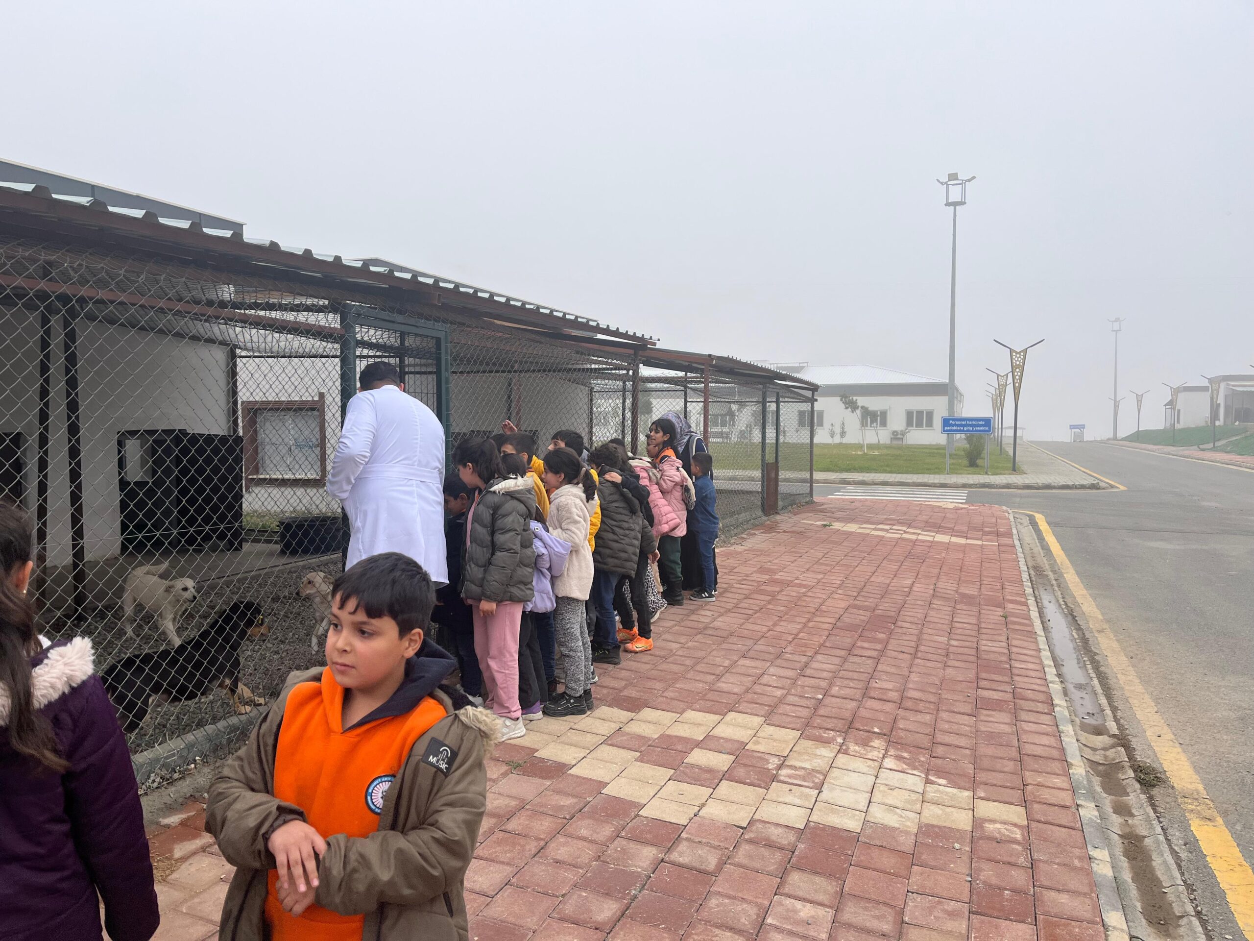 Minik Öğrencilerden Can Dostlara Ziyaret