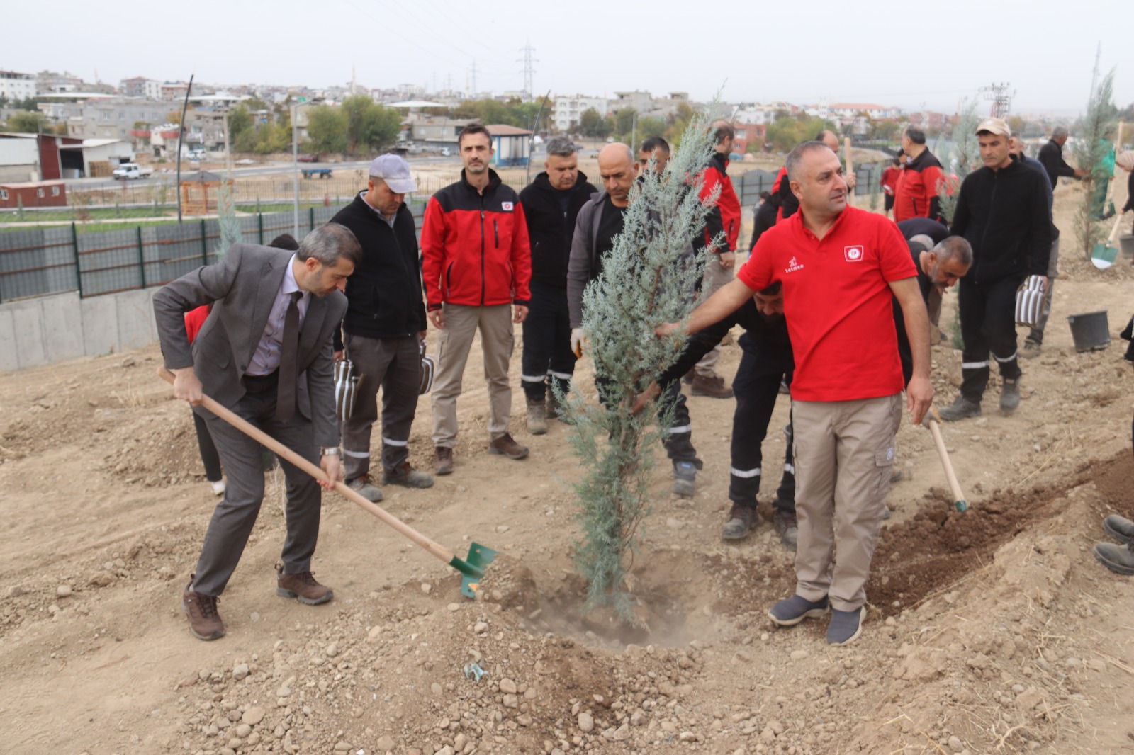 TPAO Batman Bölge Müdürlüğü’nden Yeşil Vatan Seferberliğine 500 Fidanlık Katkı