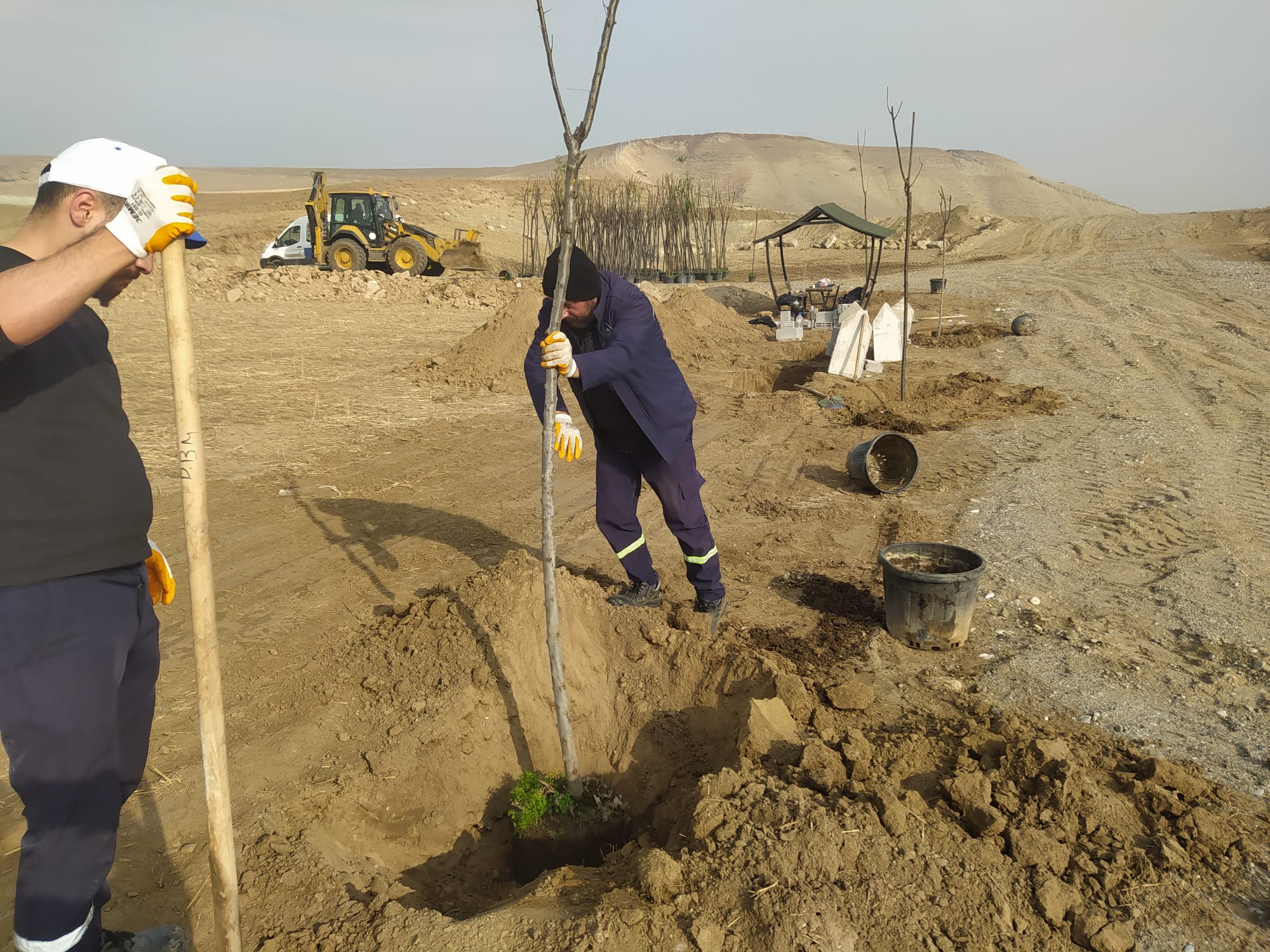 Yeni Kent Mezarlığında 232 adet fidan toprakla buluşturuldu