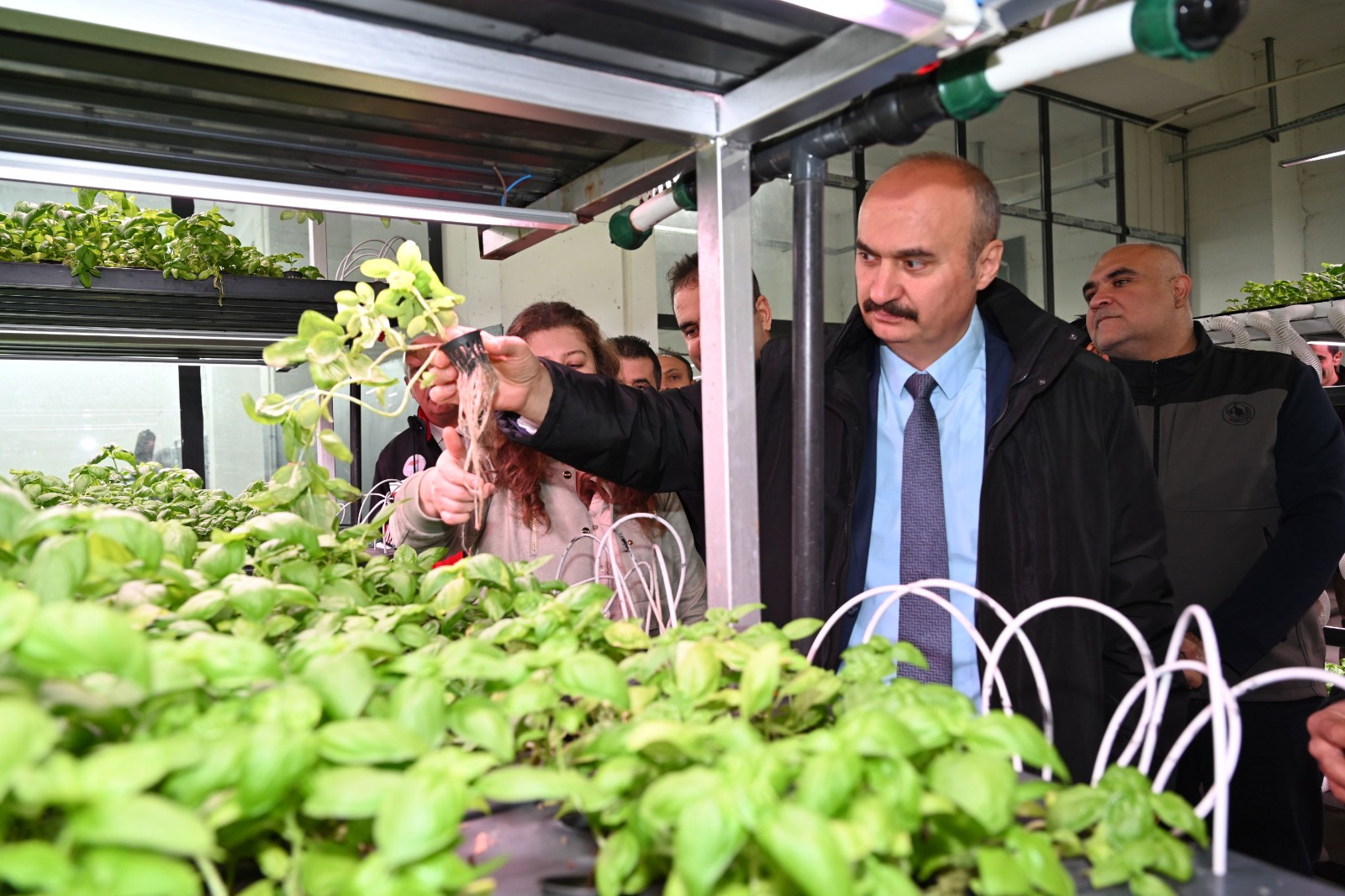 Vali Canalp, topraksız Tarım tesisini inceledi