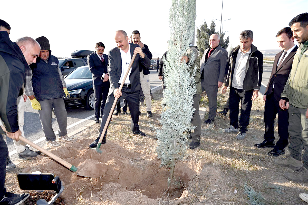 15 Bin Fidan Toprakla Buluşuyor