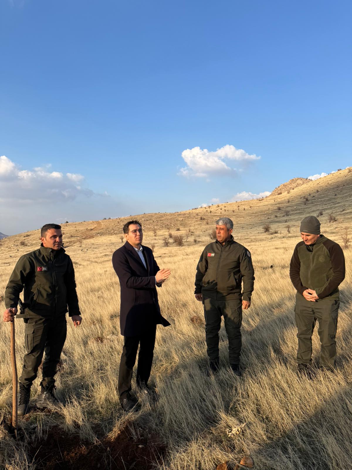 Gercüş’te 39 Bin 500 Fidan Dikildi