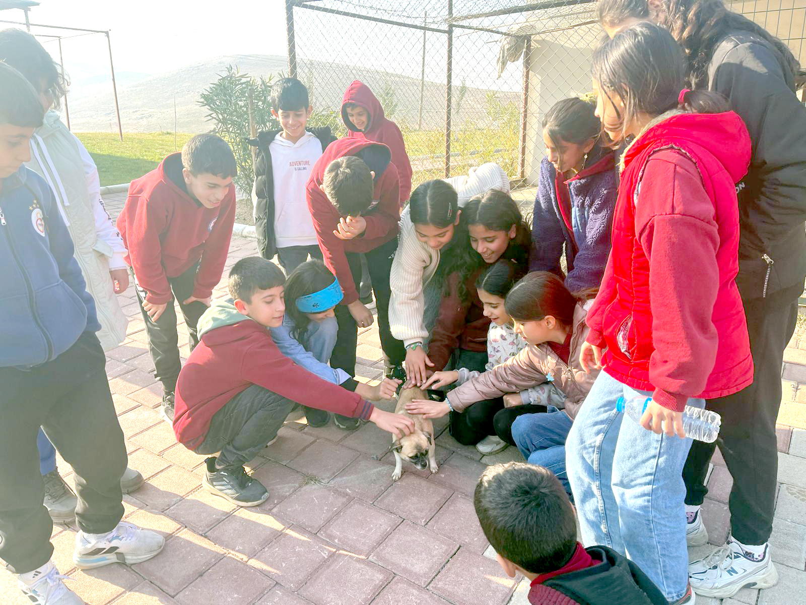Öğrenciler Hayvan Sevgisini Yerinde Öğrendi